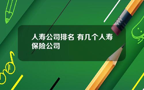 人寿公司排名 有几个人寿保险公司