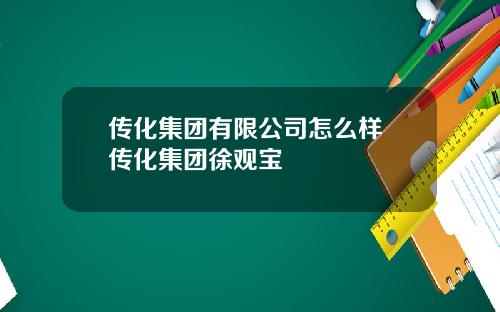 传化集团有限公司怎么样 传化集团徐观宝