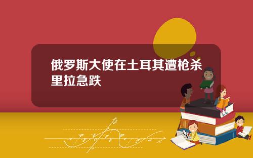 俄罗斯大使在土耳其遭枪杀里拉急跌