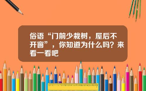 俗语“门前少栽树，屋后不开窗”，你知道为什么吗？来看一看吧