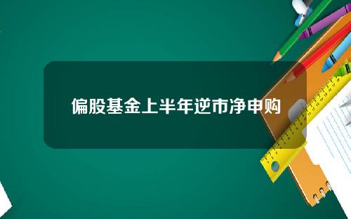 偏股基金上半年逆市净申购