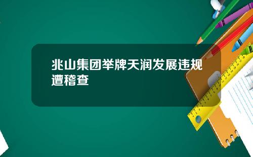 兆山集团举牌天润发展违规遭稽查