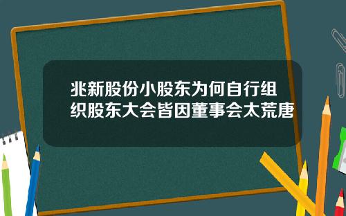 兆新股份小股东为何自行组织股东大会皆因董事会太荒唐