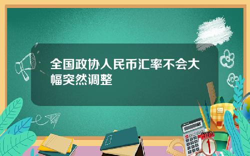 全国政协人民币汇率不会大幅突然调整