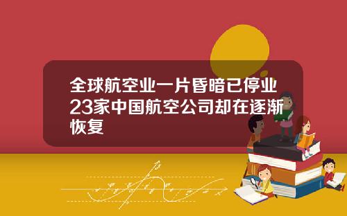 全球航空业一片昏暗已停业23家中国航空公司却在逐渐恢复