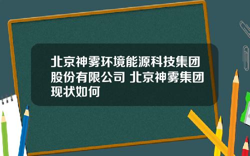 北京神雾环境能源科技集团股份有限公司 北京神雾集团现状如何
