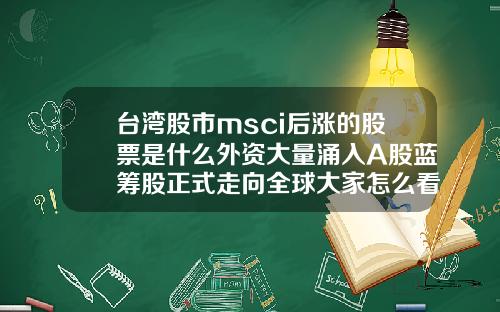台湾股市msci后涨的股票是什么外资大量涌入A股蓝筹股正式走向全球大家怎么看