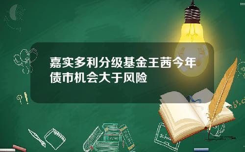 嘉实多利分级基金王茜今年债市机会大于风险
