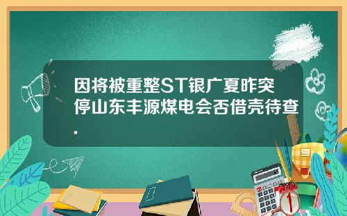 因将被重整ST银广夏昨突停山东丰源煤电会否借壳待查.