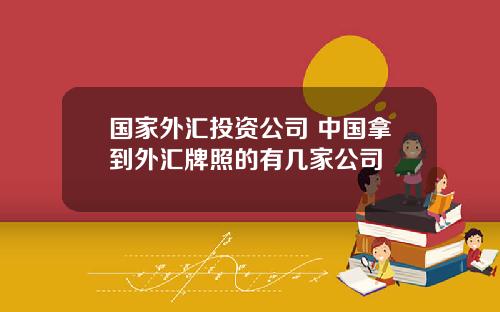 国家外汇投资公司 中国拿到外汇牌照的有几家公司