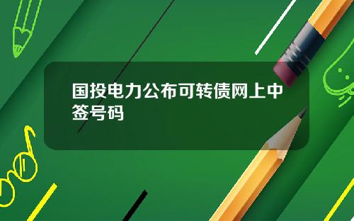 国投电力公布可转债网上中签号码