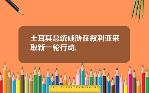 土耳其总统威胁在叙利亚采取新一轮行动.