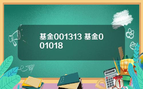 基金001313 基金001018