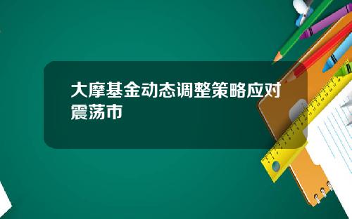 大摩基金动态调整策略应对震荡市