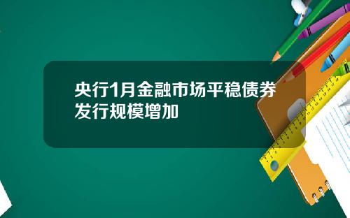 央行1月金融市场平稳债券发行规模增加