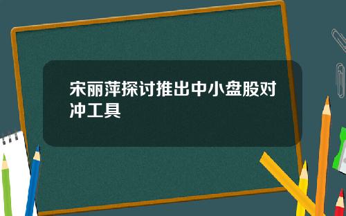 宋丽萍探讨推出中小盘股对冲工具