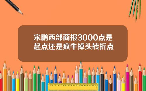 宋鹏西部商报3000点是起点还是疯牛掉头转折点
