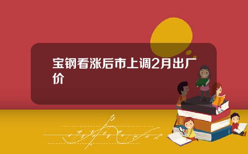 宝钢看涨后市上调2月出厂价