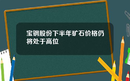 宝钢股份下半年矿石价格仍将处于高位