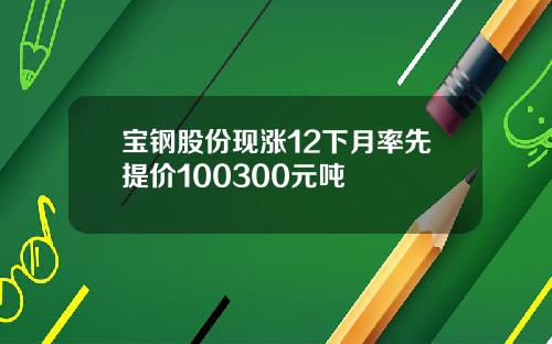 宝钢股份现涨12下月率先提价100300元吨