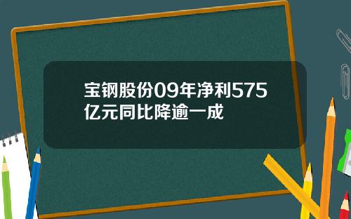 宝钢股份09年净利575亿元同比降逾一成