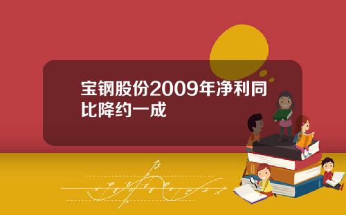 宝钢股份2009年净利同比降约一成