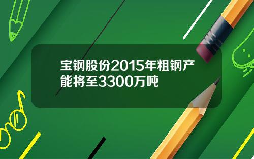 宝钢股份2015年粗钢产能将至3300万吨