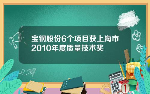 宝钢股份6个项目获上海市2010年度质量技术奖