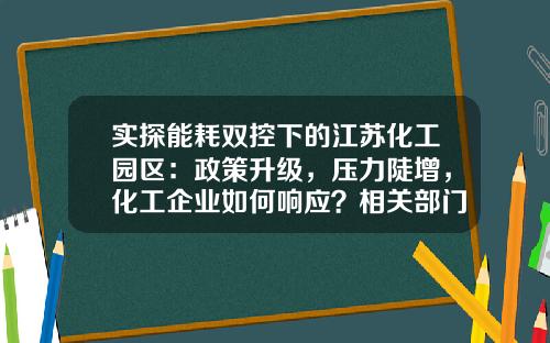 实探能耗双控下的江苏化工园区：政策升级，压力陡增，化工企业如何响应？相关部门工作人员称，绝不会“一拉电闸就了事”