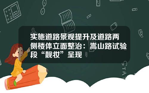 实施道路景观提升及道路两侧楼体立面整治：嵩山路试验段“靓妆”呈现