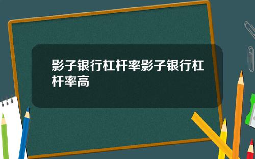 影子银行杠杆率影子银行杠杆率高
