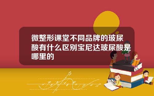 微整形课堂不同品牌的玻尿酸有什么区别宝尼达玻尿酸是哪里的