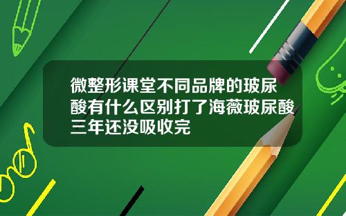 微整形课堂不同品牌的玻尿酸有什么区别打了海薇玻尿酸三年还没吸收完