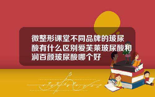 微整形课堂不同品牌的玻尿酸有什么区别爱芙莱玻尿酸和润百颜玻尿酸哪个好