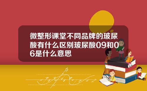 微整形课堂不同品牌的玻尿酸有什么区别玻尿酸09和06是什么意思