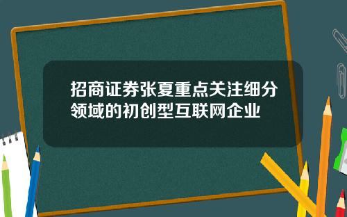 招商证券张夏重点关注细分领域的初创型互联网企业