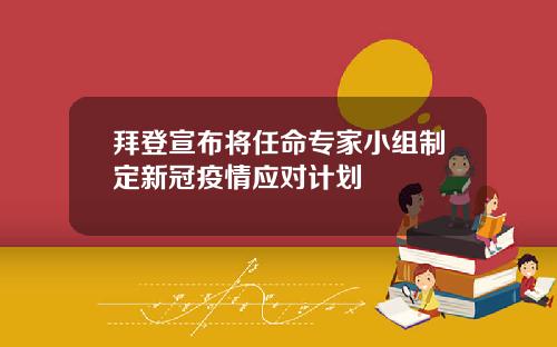 拜登宣布将任命专家小组制定新冠疫情应对计划