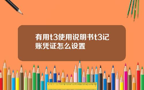 有用t3使用说明书t3记账凭证怎么设置
