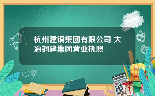 杭州建铜集团有限公司 大冶铜建集团营业执照