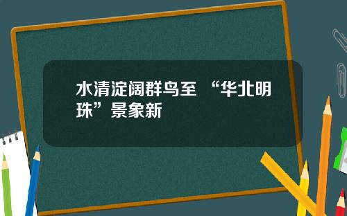 水清淀阔群鸟至 “华北明珠”景象新
