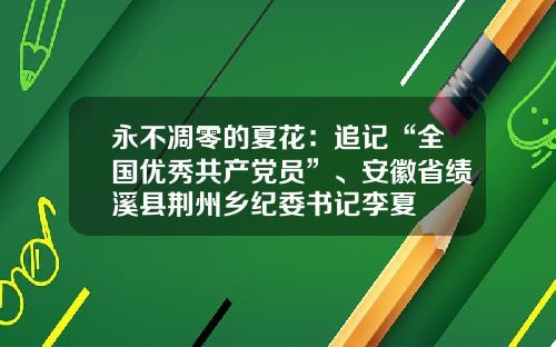 永不凋零的夏花：追记“全国优秀共产党员”、安徽省绩溪县荆州乡纪委书记李夏