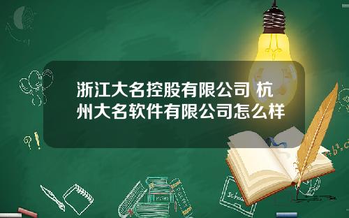 浙江大名控股有限公司 杭州大名软件有限公司怎么样