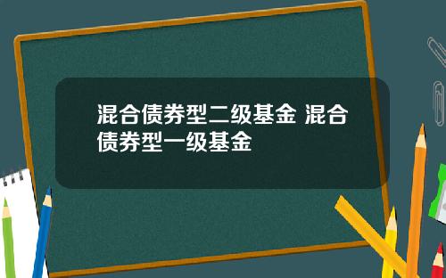 混合债券型二级基金 混合债券型一级基金