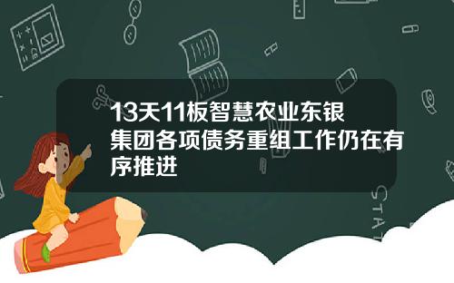 13天11板智慧农业东银集团各项债务重组工作仍在有序推进