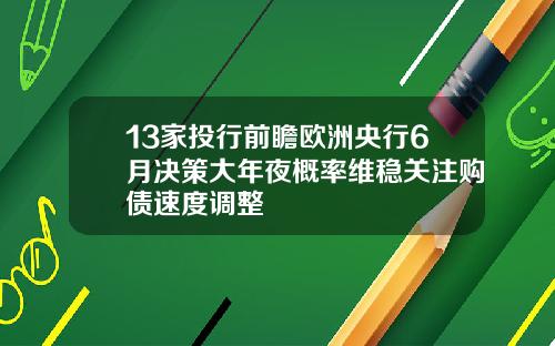13家投行前瞻欧洲央行6月决策大年夜概率维稳关注购债速度调整