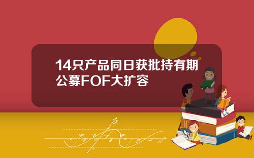 14只产品同日获批持有期公募FOF大扩容