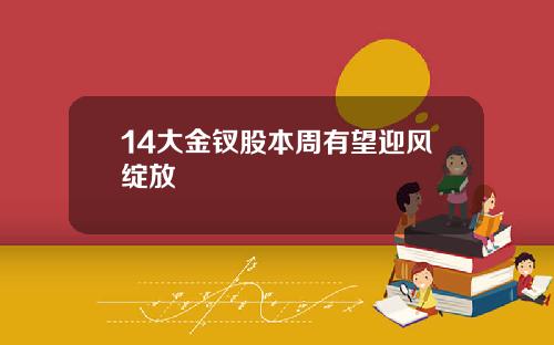 14大金钗股本周有望迎风绽放