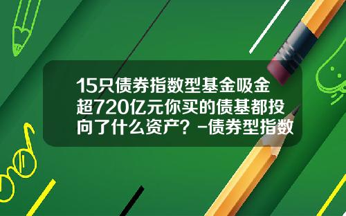 15只债券指数型基金吸金超720亿元你买的债基都投向了什么资产？-债券型指数基金