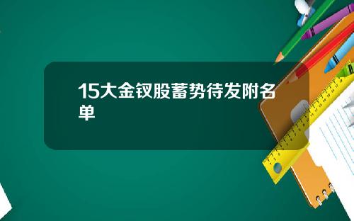 15大金钗股蓄势待发附名单
