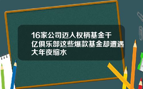 16家公司迈入权柄基金千亿俱乐部这些爆款基金却遭遇大年夜缩水